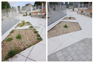 Pracovníci veřejně prospěšných prací pomáhají udržovat Havířov čistý a bezpečný | Havířov | MUNIPOLIS